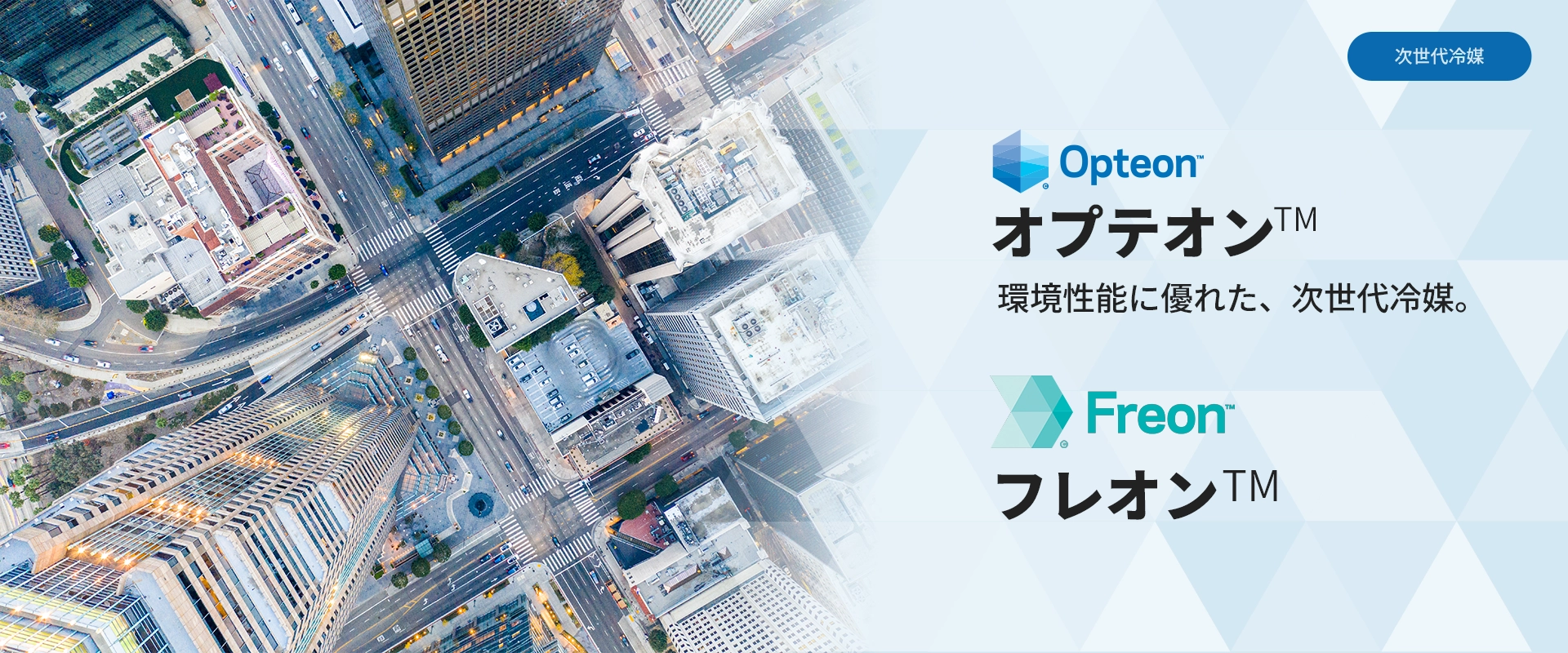 オプテオン、フレオン